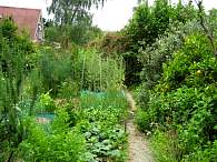 img07.jpg
